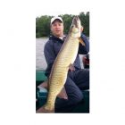 nymusky16-1