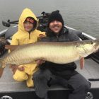 chq musky11