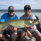 musky774