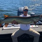 big pa musky chautauqua lake musky 30 lbs