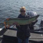 big pa musky chautauqua lake musky 43 sss