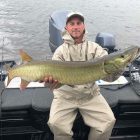 big pa musky chautauqua lake musky 44 inch muskie