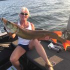 big pa musky chautauqua lake musky 501