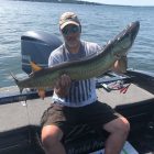 big pa musky chautauqua lake musky 564321