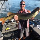 big pa musky chautauqua lake musky big muskie