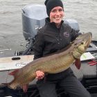 big pa musky chautauqua lake musky big muskie4