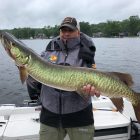 big pa musky chautauqua lake musky000