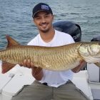 big pa musky chautauqua lake musky8